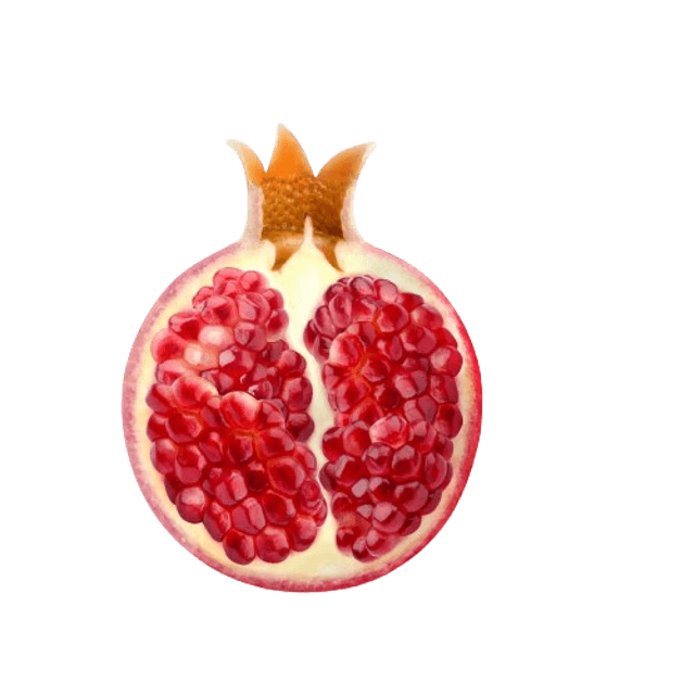 Week 6 reference image